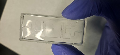 A fabricated microfluidic chamber layer held in a gloved hand, the channel network visible in the clear polymer.