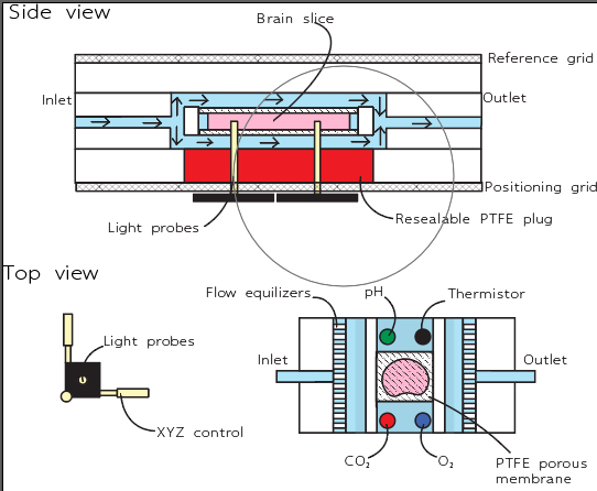 Side and top view schematics of the perfusion chamber, labelling the inlet, outlet, flow equalisers, light probes, resealable PTFE plug, pH and oxygen sensing, and the porous membrane under the slice.