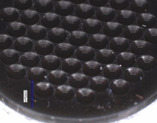 The same close-packed lens array imaged against a dark background, showing the regular hexagonal packing across the device.