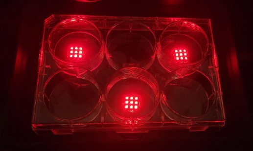 Three MAP devices illuminating wells of a six-well culture plate from beneath, each showing a three-by-three array of emitters through the plate base.